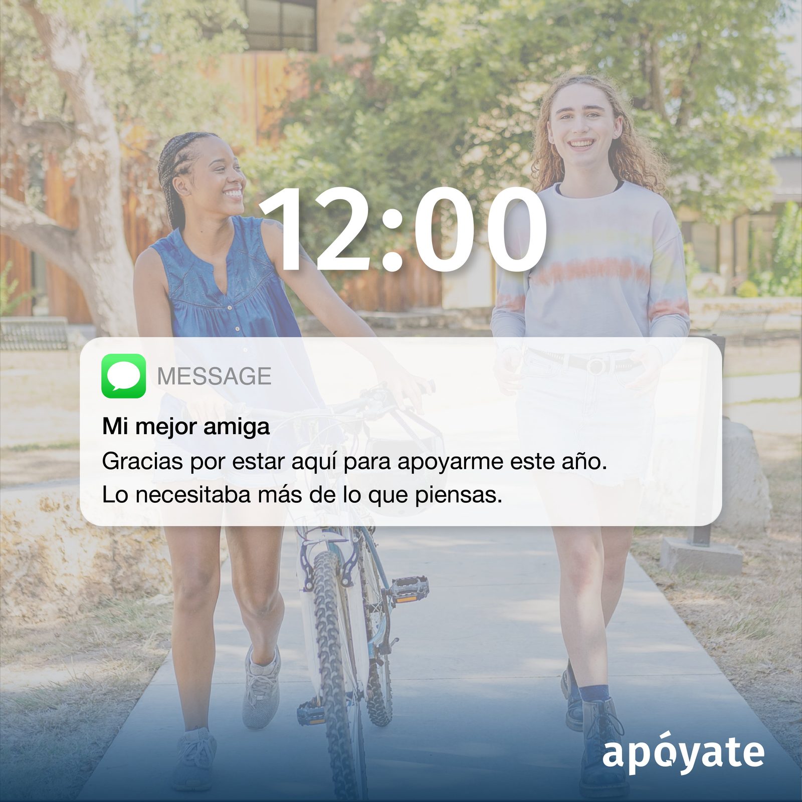 Apoyate fall 2024